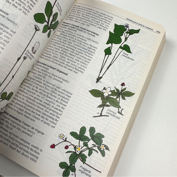 Handbook of the Canadian Rockies - Picture 9 of 10